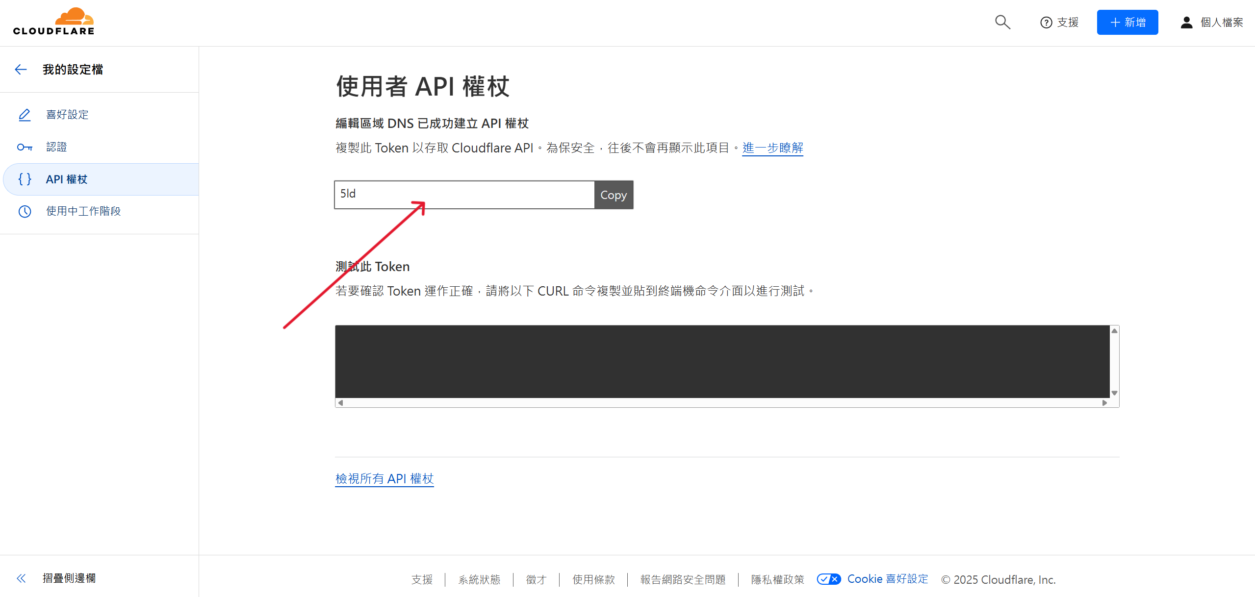 Boilcloud DDNS示意圖